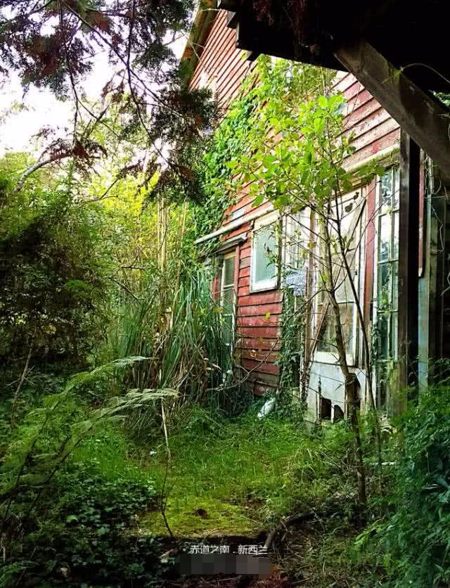 顾城的新西兰旧居杂草丛生儿子不知所踪永久房产早已荒芜
