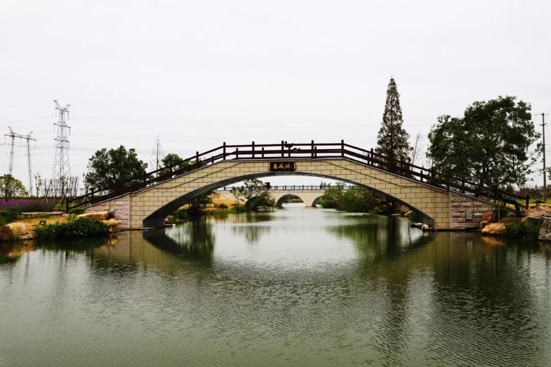 小桥横跨小河两岸,桥上的台阶还略显湿润,桥边的石壁上还结着墨绿