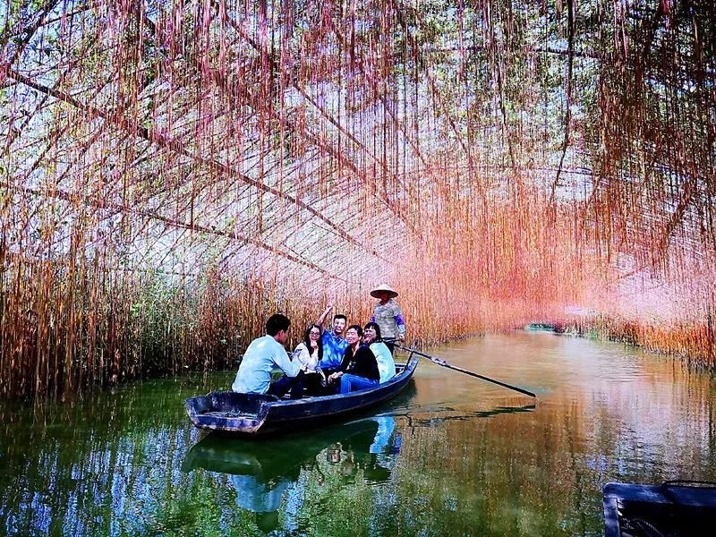 江门这个地方有着一片超唯美的秋景,送你"一帘幽梦"的