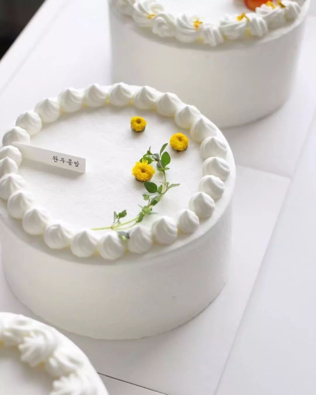 71张新款韩式奶油裱花图鉴,想要蛋糕卖的好?造型真的不能输!