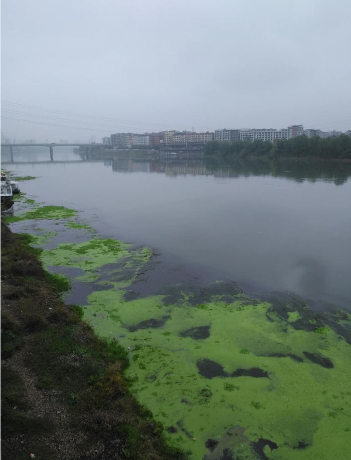 警法 正文  11月14日下午, 耒阳市政府为确保耒水河水质清澈,让河中道