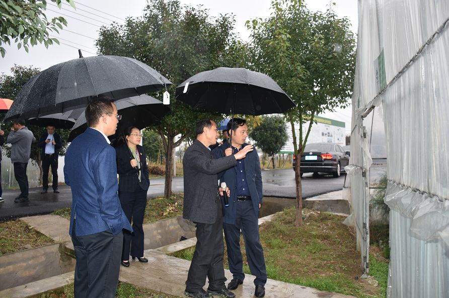 湖州市委组织部副部长,市委两新工委书记饶如锋一行 赴长兴县开展组织