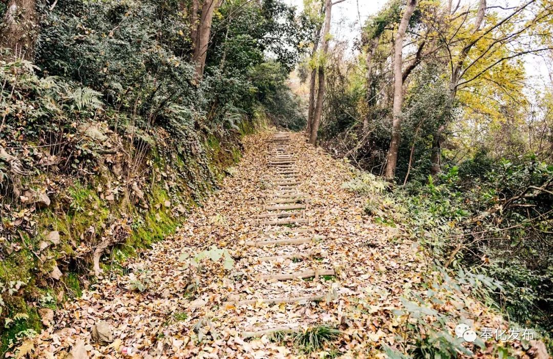 《奉化步泛亚电竞道》首发！路线、餐饮、停车……一书在手指南不愁！(图5)