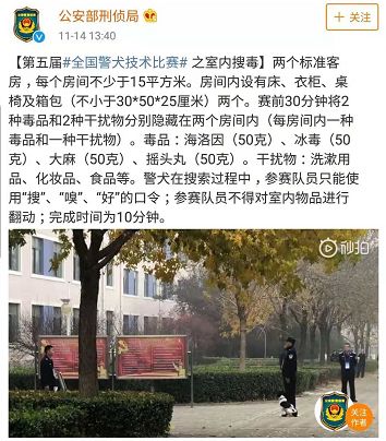 貼創可貼警犬走紅 表情包都出瞭！網友：這是男子漢的勛章