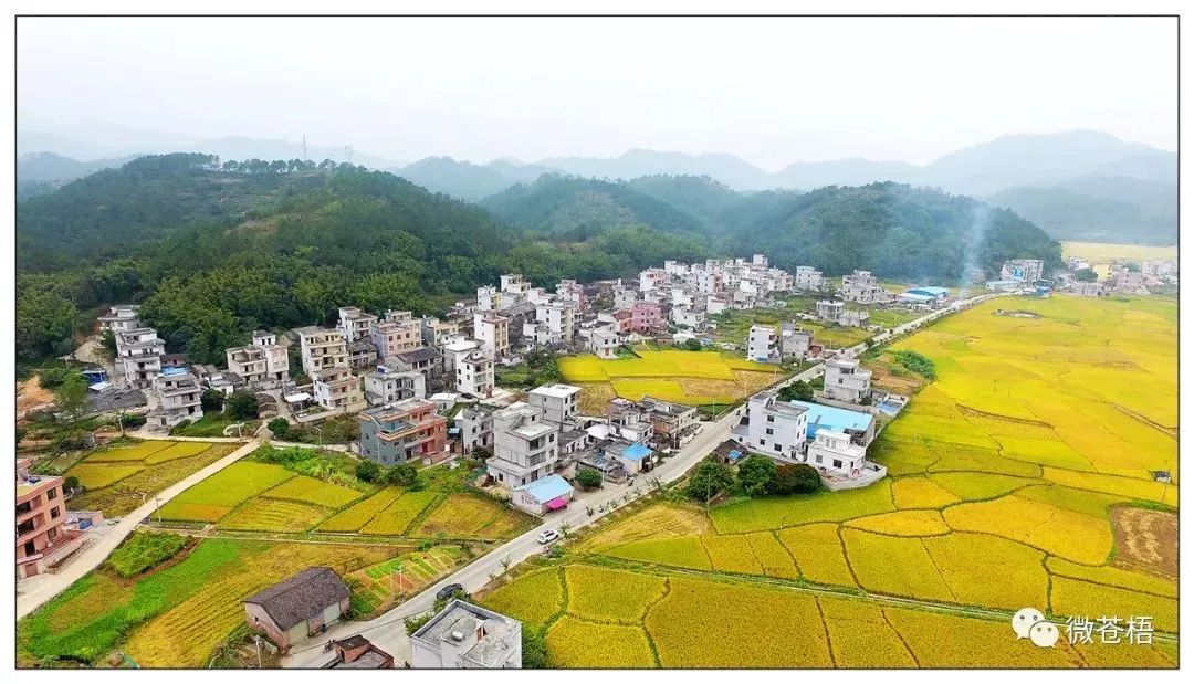 梧州广平大坡夏郢沙头风光美如画成为竞相拍照的网红景点