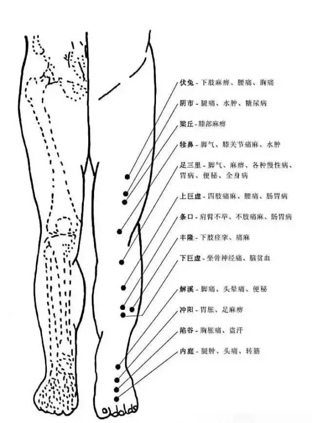 【佰亿教育】史上最全人体穴位与功效图_面神经麻