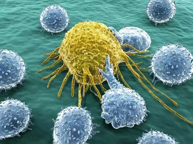 人体免疫细胞正在围攻癌细胞