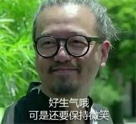 保持微笑表情包大全:好气哦,可是还要保持微笑