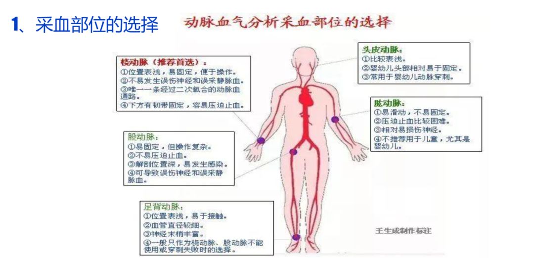 医院 动脉血气分析浅析