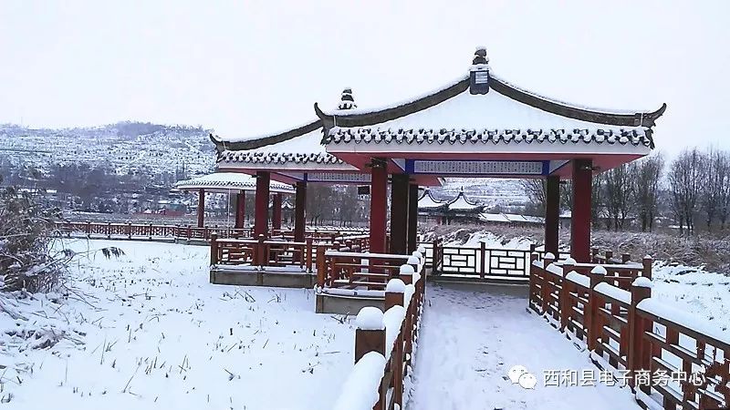 多图:西和雪景…_县城