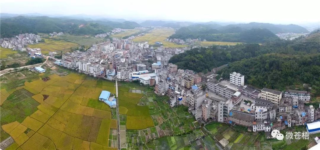 梧州广平大坡夏郢沙头风光美如画成为竞相拍照的网红景点