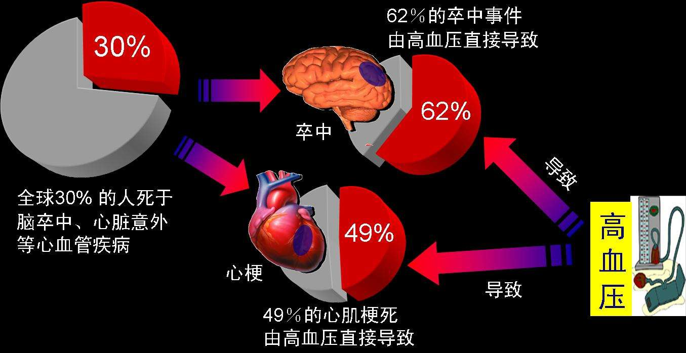 高血压的危害究竟有多大?