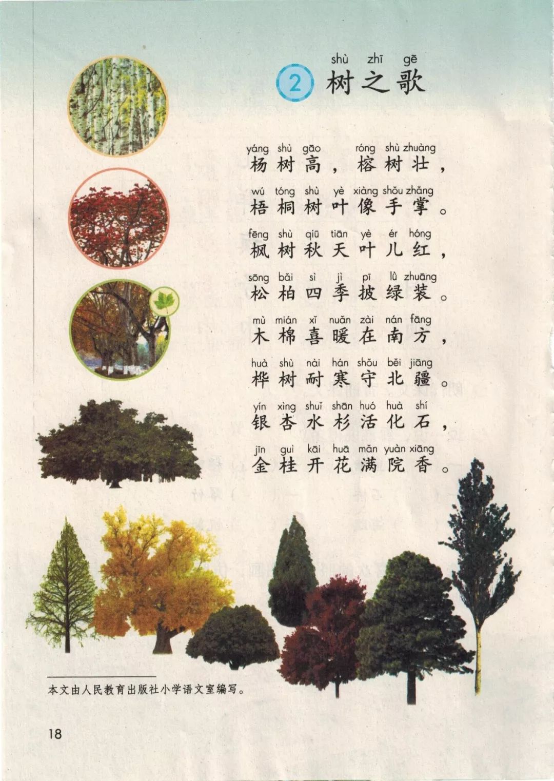 2,《树之歌》