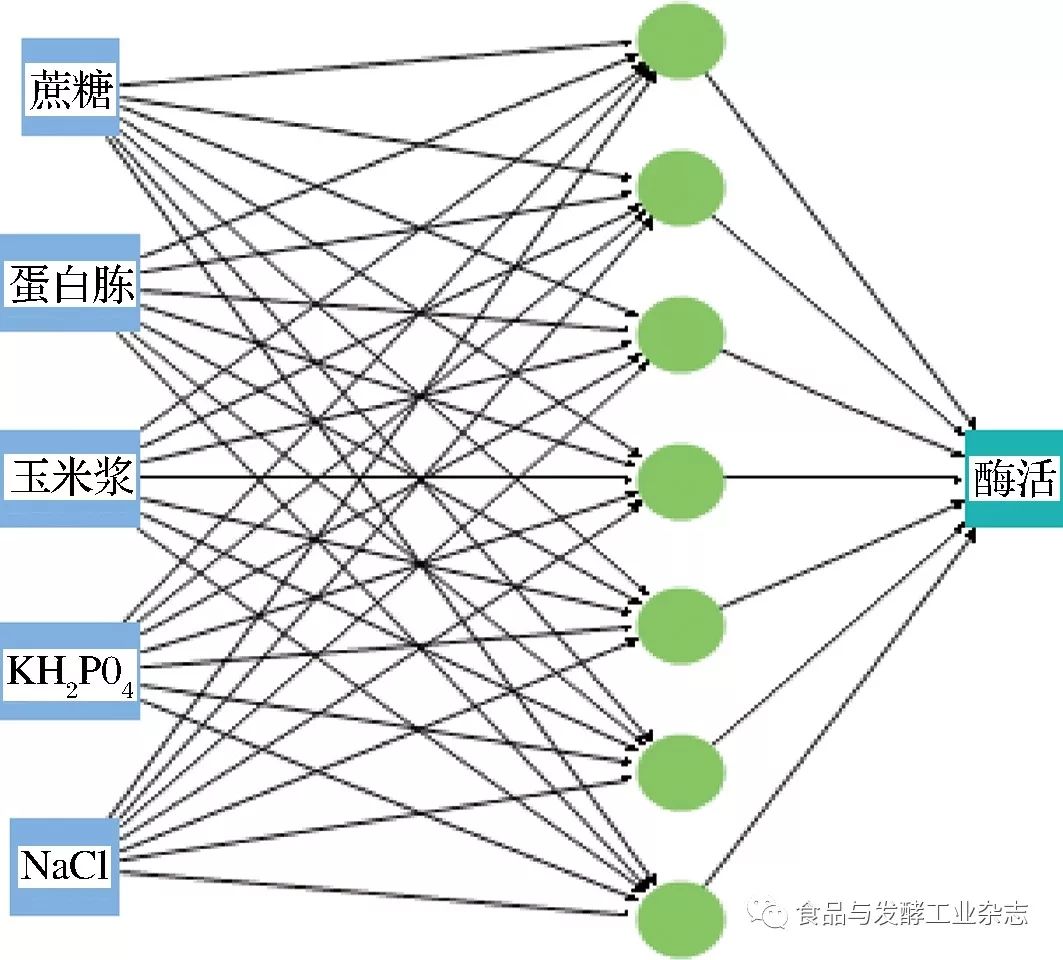 王云龙基于人工神经网络的l天冬酰胺酶发酵培养基优化