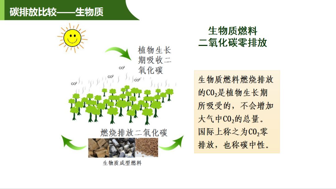 专家课件丨洪浩发展利用生物质能是我国能源结构转型的必要措施