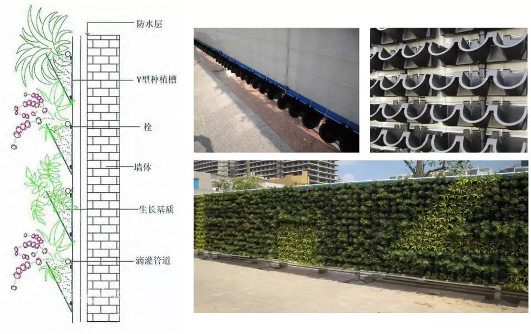 城市中的自然存在——独具魅力的垂直绿化