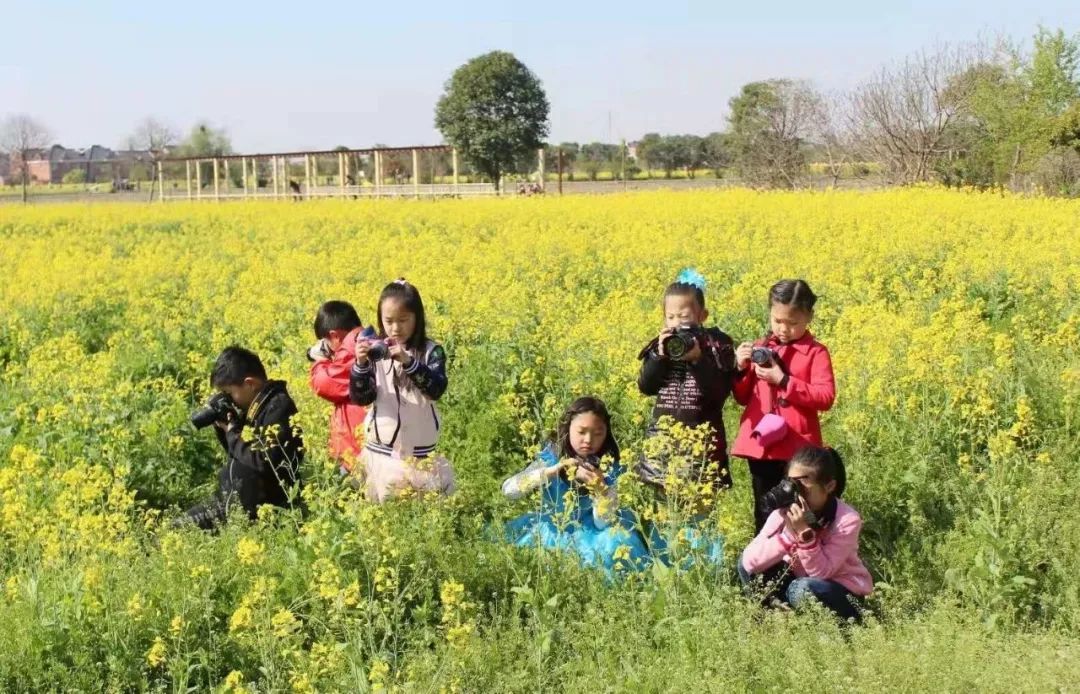 好消息!罗店一小学生组照获全市摄影大赛一等奖