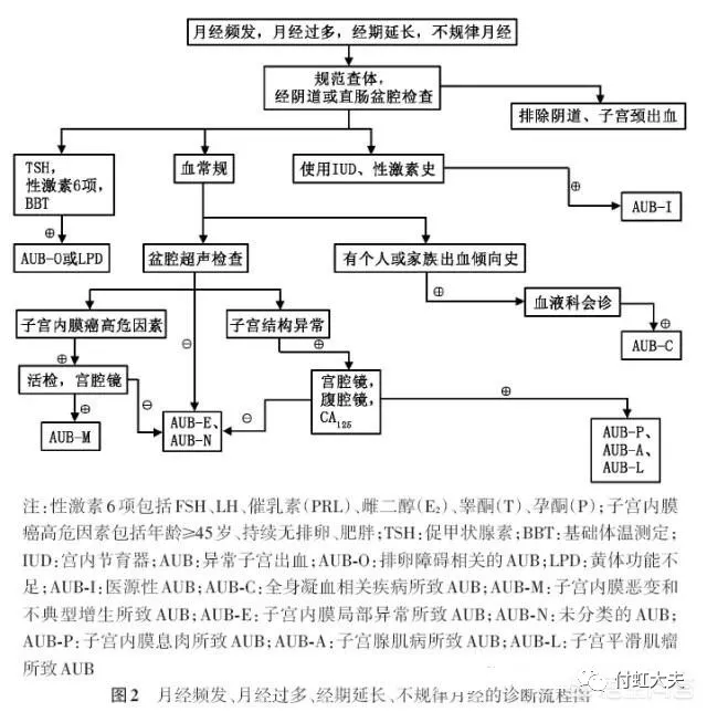 月經20天來一次會衰老的快嗎？ 健康 第1張