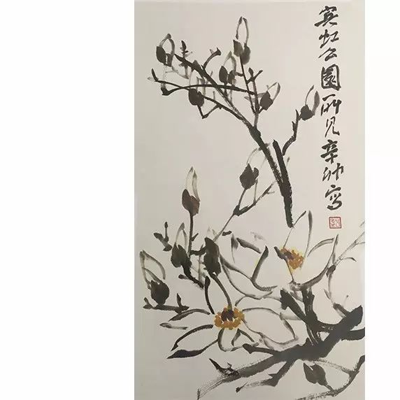 国画入门视频教程丨玉兰花,菊花的画法_徐湛