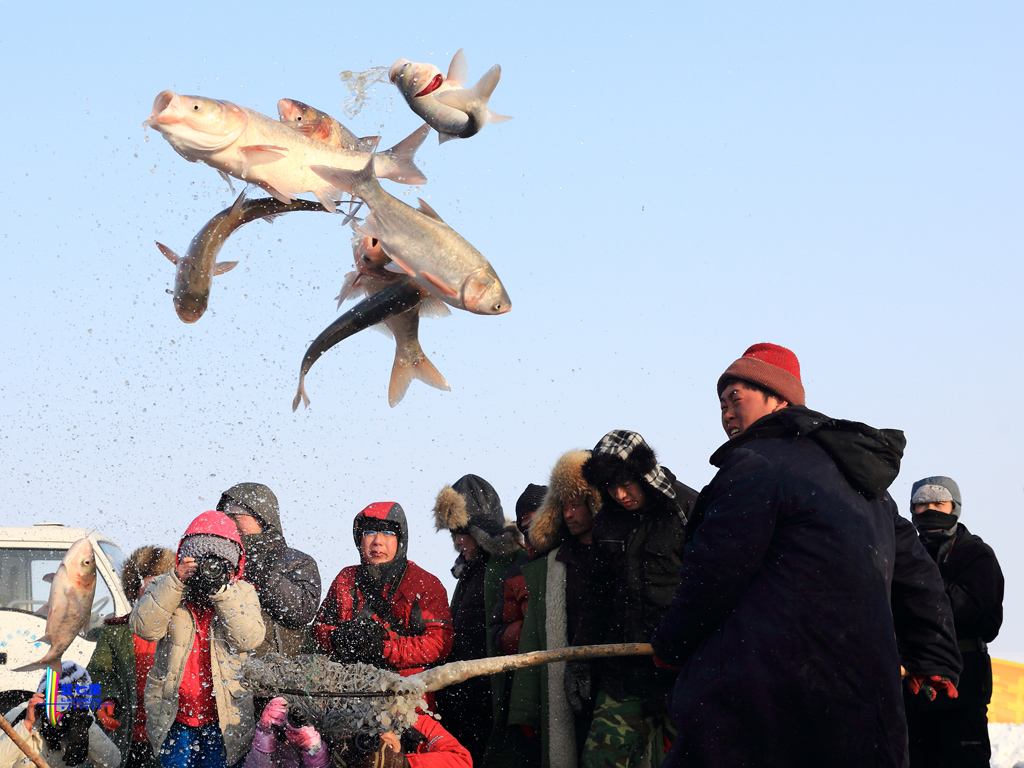 【"查干淖尔"】蒙古族2019年吉林查干湖冬捕旅游震撼开幕吃,住,玩,乐