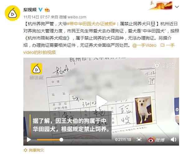 我是中华田园犬，为什么我在中华是禁养犬！