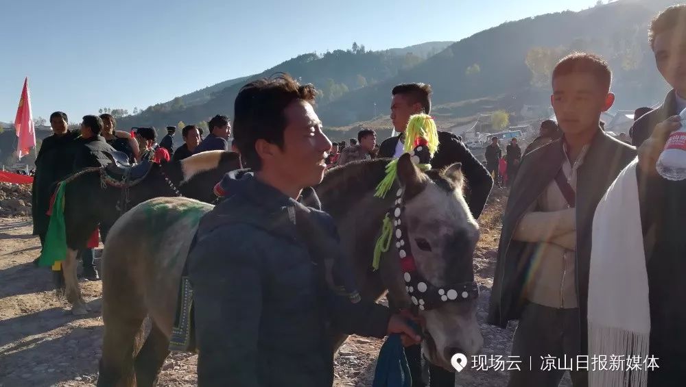 现场直击"凉山喜德·彝族老家"首届赛马节(多图 视频)