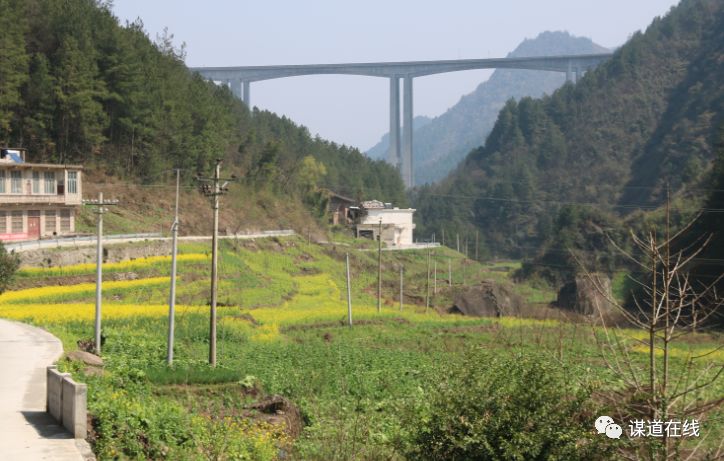 贵阳花溪区马洞村有多少人口_贵阳花溪区青岩龙井村(2)