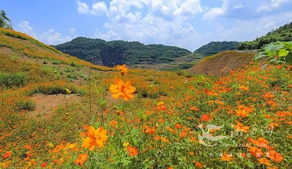 不断发展壮大全县经济总量_经济发展图片