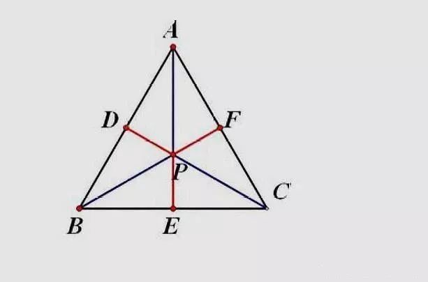 专题讲解 初中数学三角形中线 高线 角平分线相关知识 线段