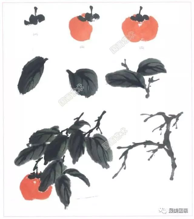 写意柿子画法教程名家写意柿子技法赏析国画柿子的画法步骤