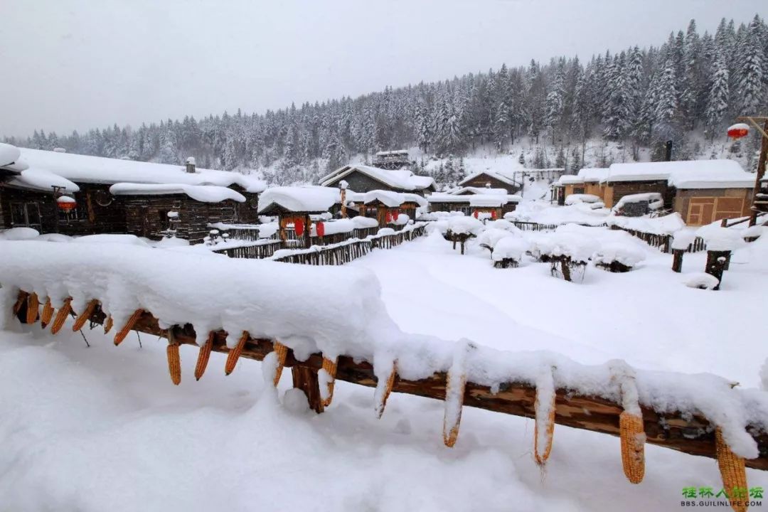 沃野稼穑地,瑞雪兆丰年.五谷播丰登,国泰又民安.