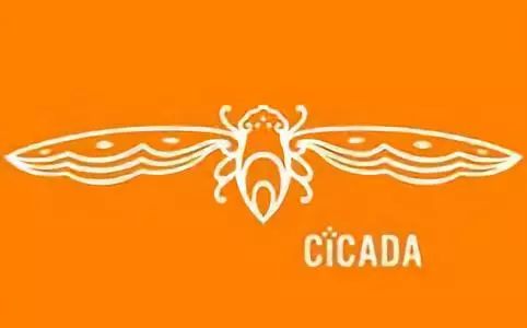 仁恒御用的景观公司cicada,究竟如何做设计的?