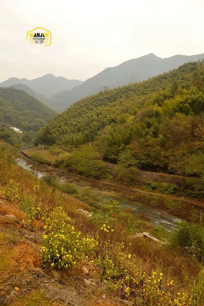 钱俊|桐庐有个石舍村,来了就想住下来