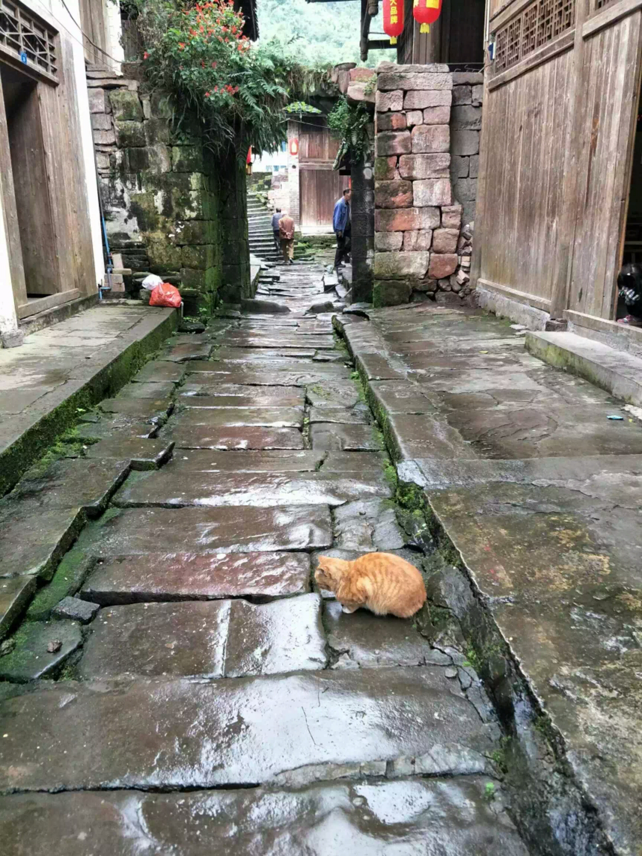 实拍四川龙华古镇旅游风景区