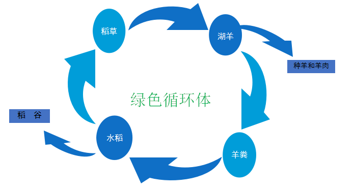 循环模式图南浔南元里生态农业科技有限公司主要循环模式为"羊