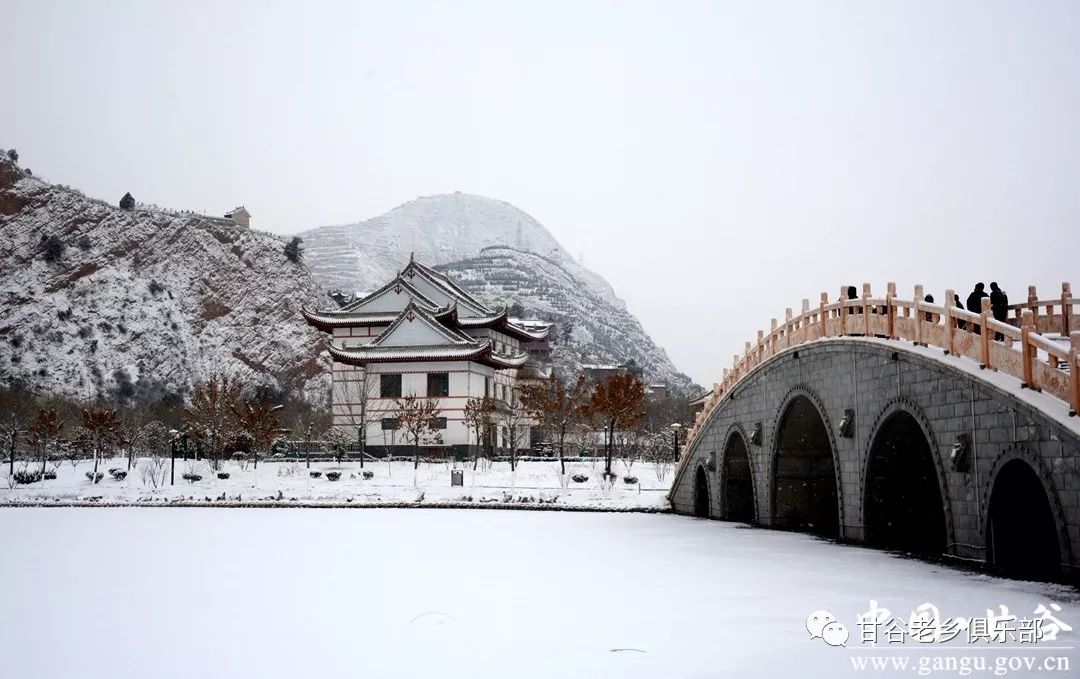 下雪天甘谷一大波雪景图流出简直美呆了