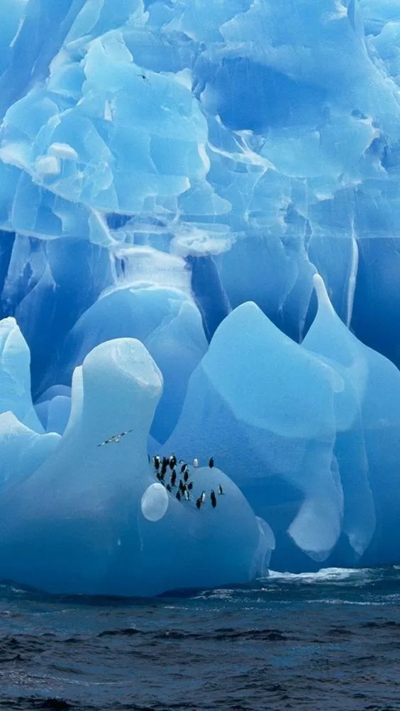 南极的冰被,太纯净了
