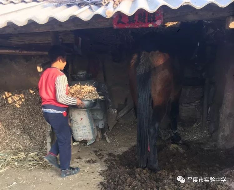 岚县顺会乡人口_吕梁岚县梁家庄乡