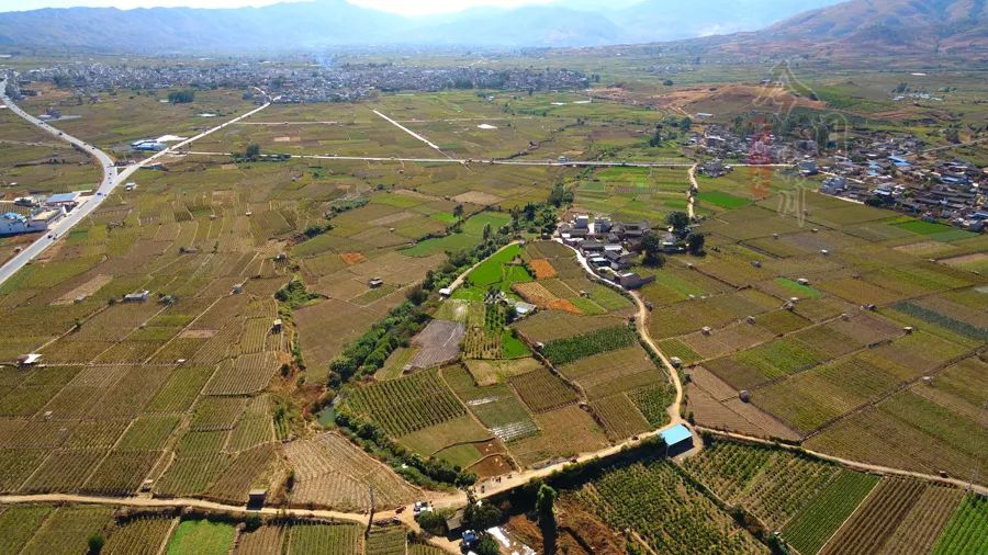 宾川县人口_宾川县地图