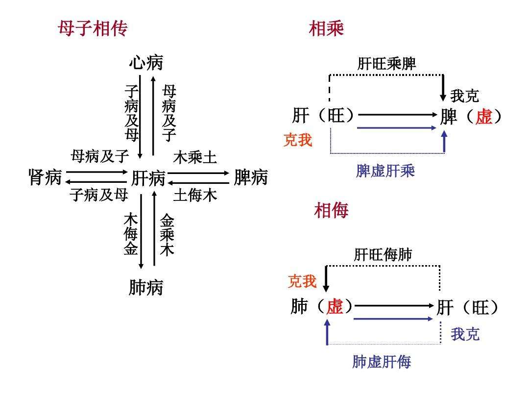 中医基础理论思维导图