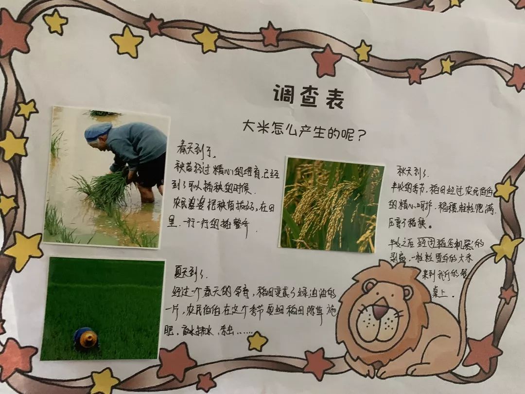 活动: 体育活动: 和爸爸妈妈一起完成的 调查表也很精彩哦 大米的产生