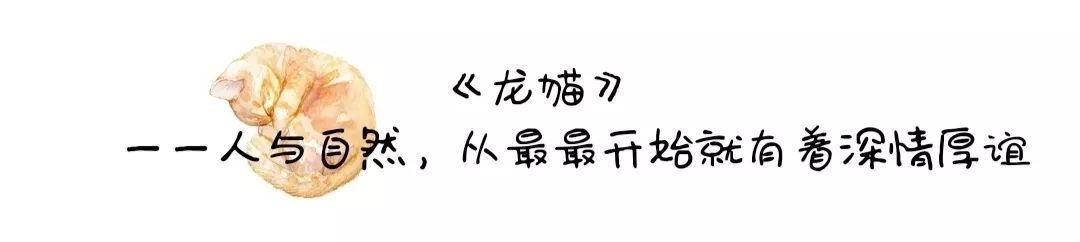 烏托邦電台｜宮崎駿：因為你，我有一個可以肆意做夢的角落 娛樂 第25張