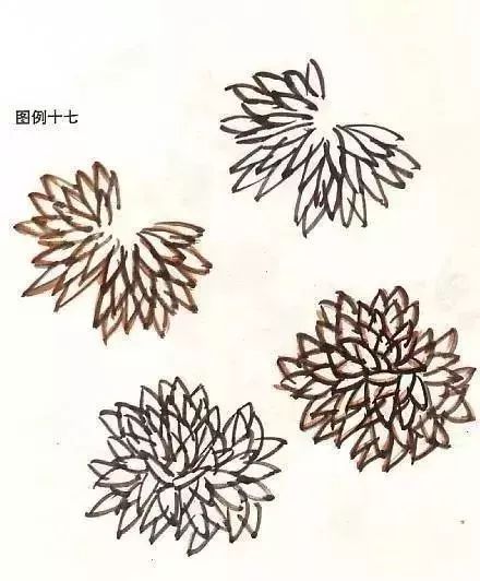 一 菊花结构解析 菊花写意画法简介 菊花叶画法 露蕊菊花画法 白色