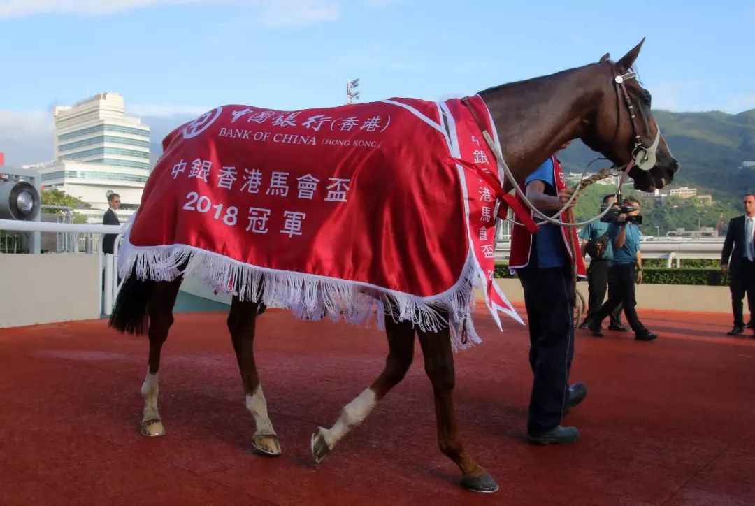 鹰雄破马场纪录摘下中银香港马会杯