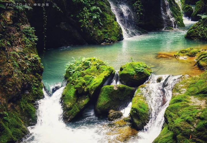 黑山谷和缙云山,四面山,金佛山,仙女山一起,并称"重庆五大名山".