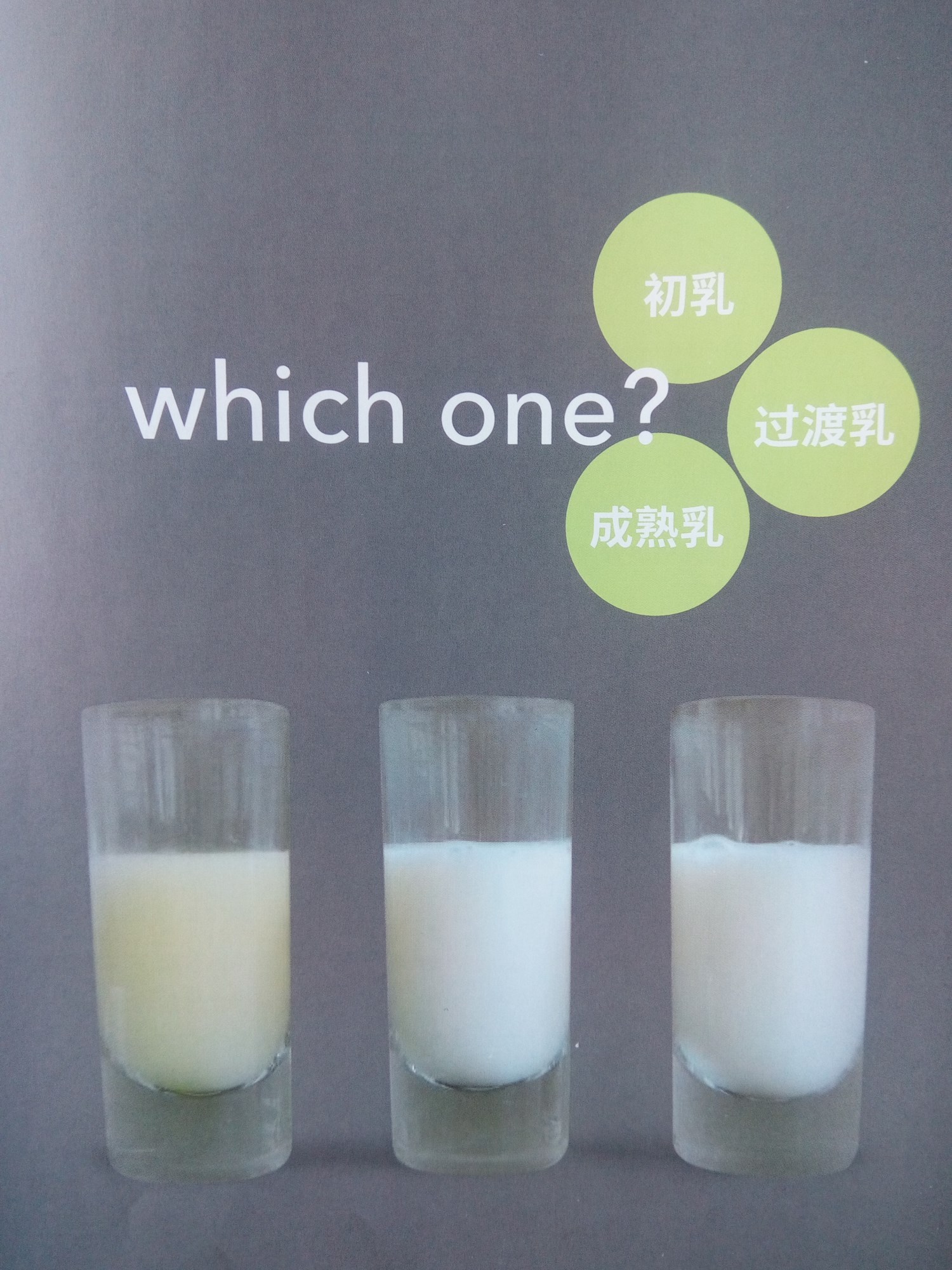 母婴护理知识,什么是初乳?你了解吗?