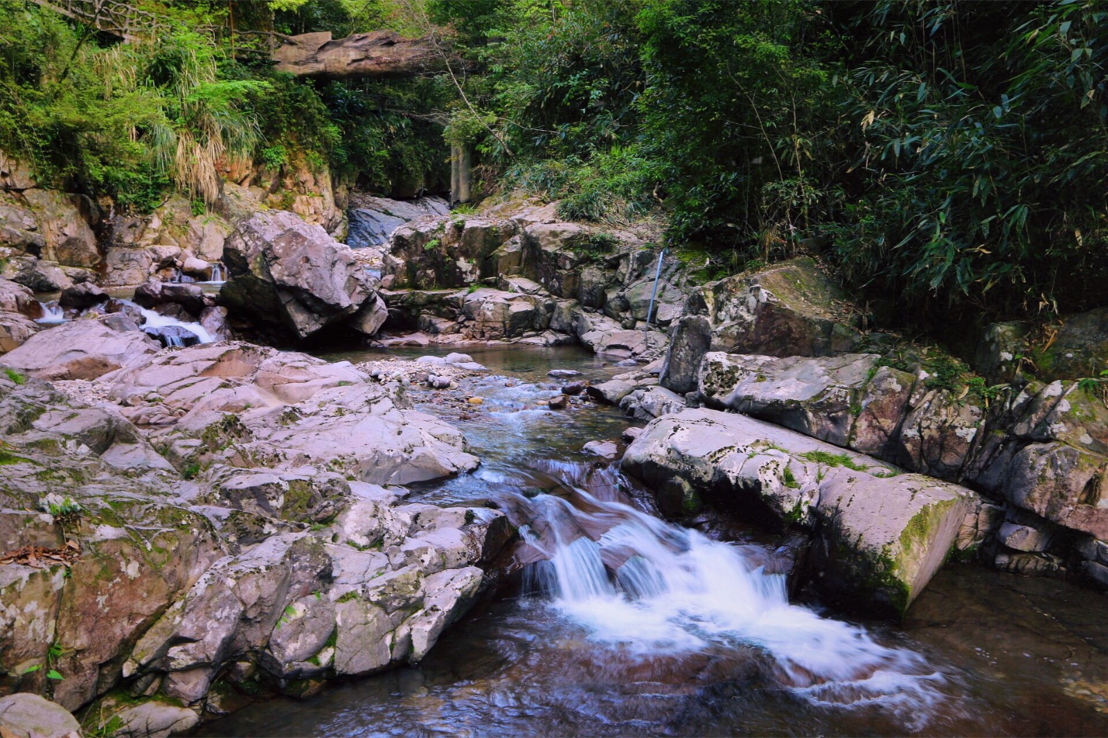 探寻华东原始秘境-九龙山自然保护区,传说中"野人出没