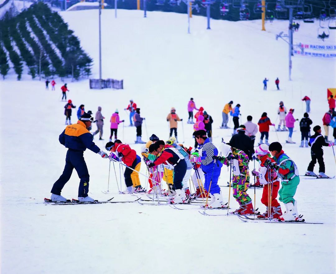 让孩子爱上冰雪,重归自然,2019北海道滑雪营