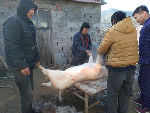 幸福的农家生活,约上邻居一起杀猪吃肉,再来一碗特色猪肉汤