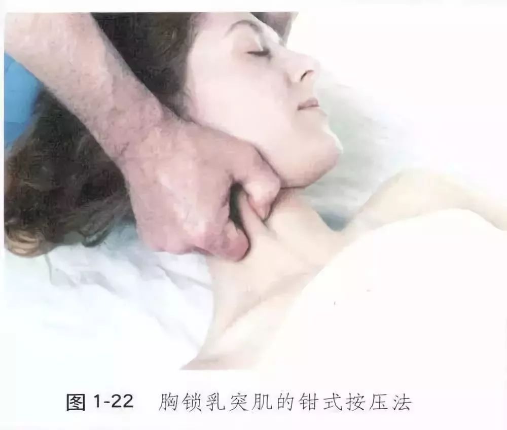 我们的头颈并非处于中立状态,因此胸锁乳突肌也就基本是处于一个缩短